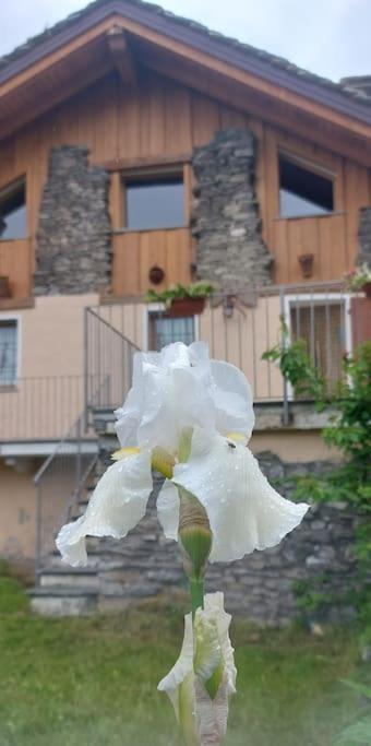 Valle D'Aosta A 360° - Ideal For Smart Working Aymavilles Luaran gambar